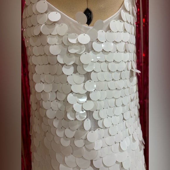 Francesca’s Kelly white graduated sequin shift dress - Picture 12 of 16